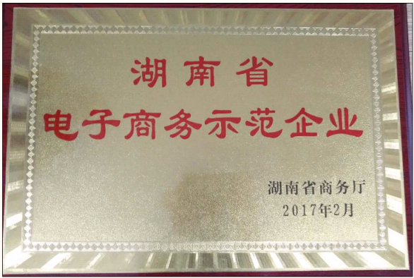 湖南省电子商务示范企业